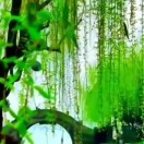 用户发起投诉