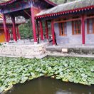 wx_平淡安逸的人（大斌）76