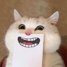 用户85434352的头像-藏宝楼源码网