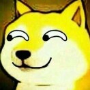 GODGOODDOG