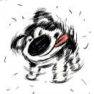 不撒手的头像-知创网