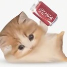 用户头标