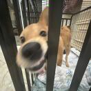 把手机还给我的头像 - 校园论坛