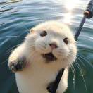 甜辛的头像 - 校园论坛