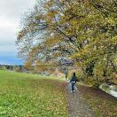 应旭霞-杭州隆基生物的头像-小燕分享网