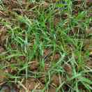 坚持到底就是胜利