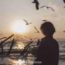 风日沉舟的头像-松纸工作室博客