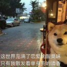 建安汇用户头像