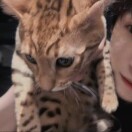 云和的头像-小燕电子书