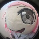 user_w8rqiy3rmfnfudll member profile picture