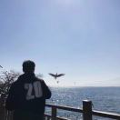 🔆俊健-