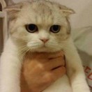 user_2xv6mskjjyjbyjr2 member profile picture