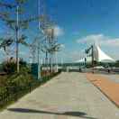 文相的头像-前行者团队