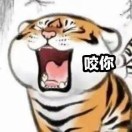 nafftiti的頭像