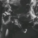 刘先生的头像