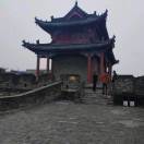 加油努力。
