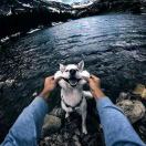 用户67012738的头像-风行者社区