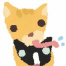 user_6qqc8kvr7dxedwbs member profile picture