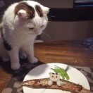 ルン的头像-日本！日本语