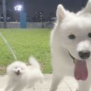 云工创客-孔乙什么？