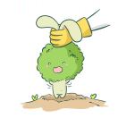 亦是风雨亦是情