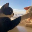 u客直谈实名认证田凯