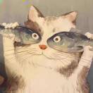 曼波-技术猿资源站