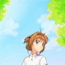 芝加哥(伊利诺伊州)求租