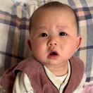 志存高远的头像-WordPress主题模板-zibll子比主题