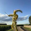 u客直谈实名认证何志宇