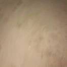 我是一粒深埋泥土的种子，渺小。