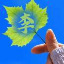 李玉英_758