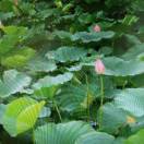 63d83b31705d9bea81d5b79d13889d2b2891