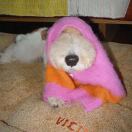 liv 转租&房东直租