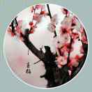 心随念转的头像 