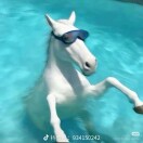 欢沁