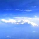 心随意动的头像 