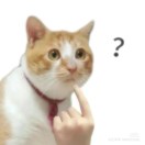 a4y8u9l6h5的头像_Qpipi