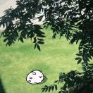 Isa ॱଳॱ的钢琴谱