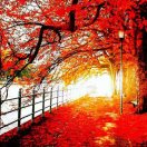 邱以斌店主头像