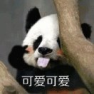 芋圆