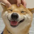 欢喜