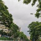 A深圳百度吴志仁18529410732