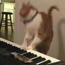 你爱叫我啥叫啥的头像-拟人圈