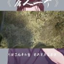 叶白衣的头像-博士钣金 - www.bsbanjin.com