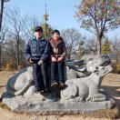 邻家奶奶的钢琴谱