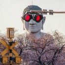 七七爸
