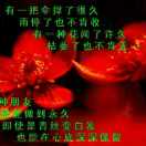 雨后彩虹