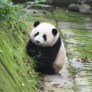 婷婷呀的头像-智客权益