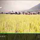 画桥欧派的头像-宋播播带货工作室